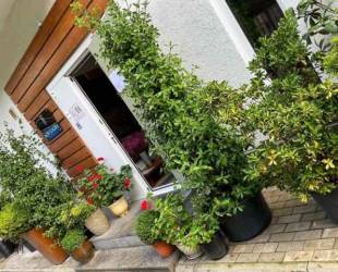 Мини-отель 'New Gagra'